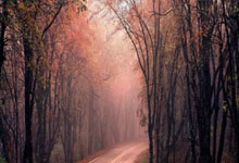 开云体育app-曼联国内杯赛战绩出色，球队目标再次升高！