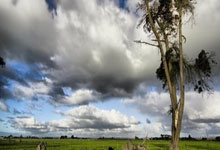 开云体育中国-岩浆淬炼王者心！斯洛伐克黑马撕裂赛场的三重沸腾密码