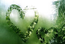 开云体育app-曼联国内杯赛战绩出色，球队目标再次升高！