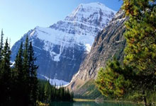 开云官网-维京战吼终成绝唱！挪威战平荷兰却坠出局深渊，哈兰德凝视门柱的9分钟改写北欧童话