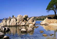 开云官网-维京战吼终成绝唱！挪威战平荷兰却坠出局深渊，哈兰德凝视门柱的9分钟改写北欧童话