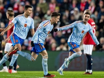 开云体育登录-塞尔维亚国际队期待在挪威队取得胜利