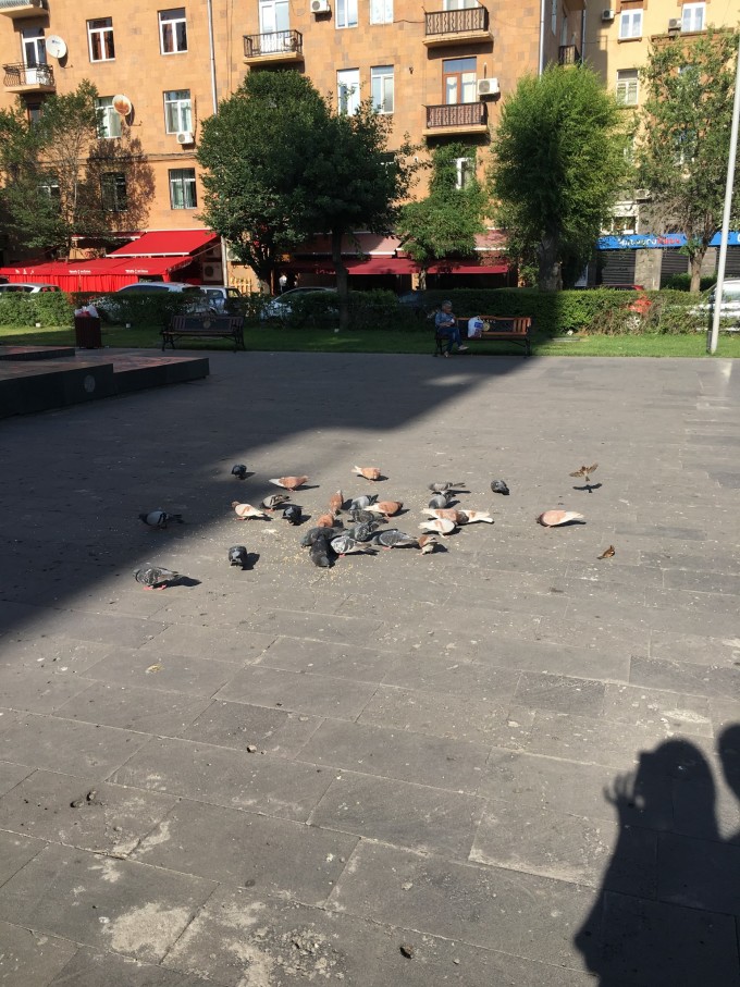 关于亚美尼亚玩出身手瑞士之梦被挑战的信息