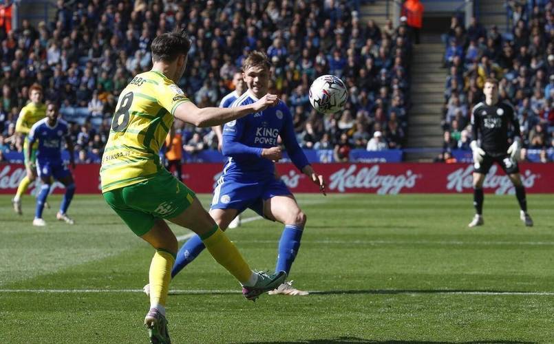 开云体育官网-伯恩利主场大胜，逆袭击败南安普顿的简单介绍