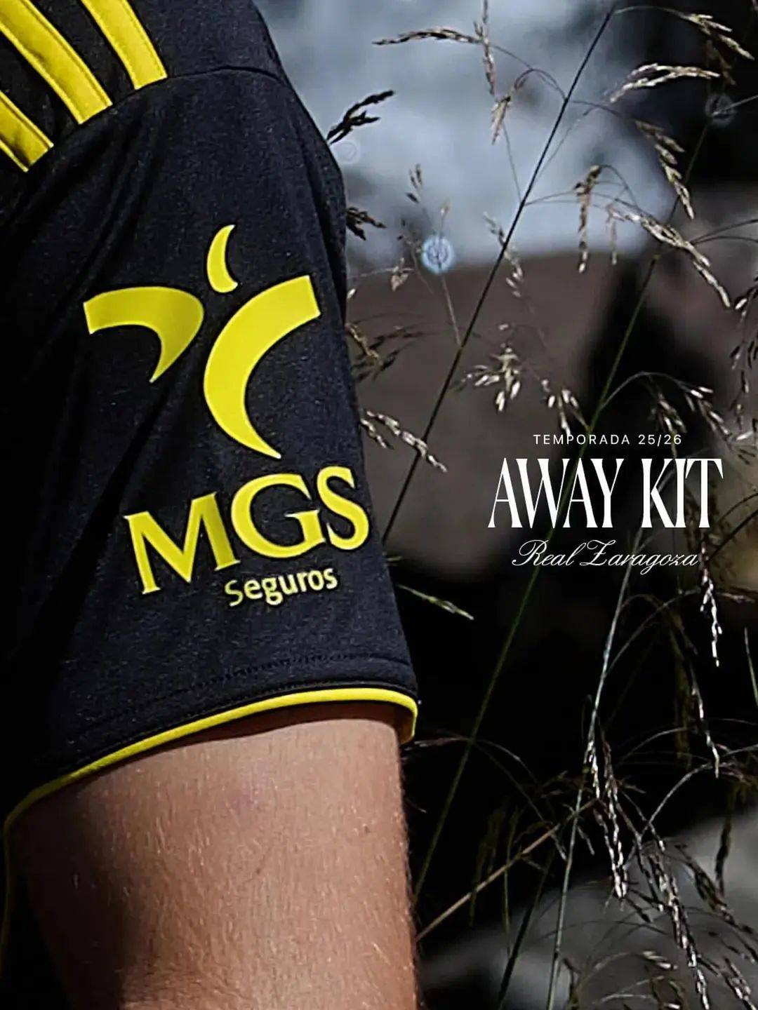 开云体育app-萨拉戈萨客场夺得胜利，向前迈进