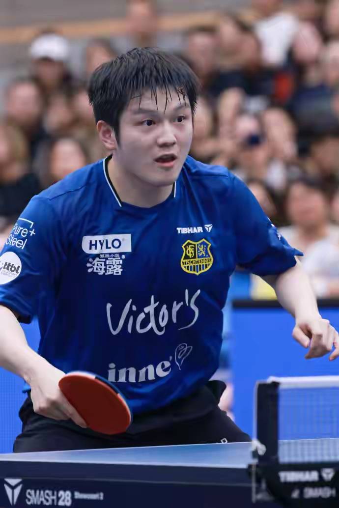 开云体育入口-关于比利时乒乓球队爆冷日本乒乓球队，樊振东完成帽子戏法的信息