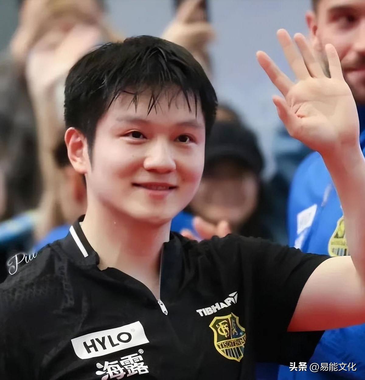 关于比利时乒乓球队爆冷日本乒乓球队,樊振东完成帽子戏法的信息 关于比利时乒乓球队爆冷日本乒乓球队,樊振东完成帽子戏法的信息