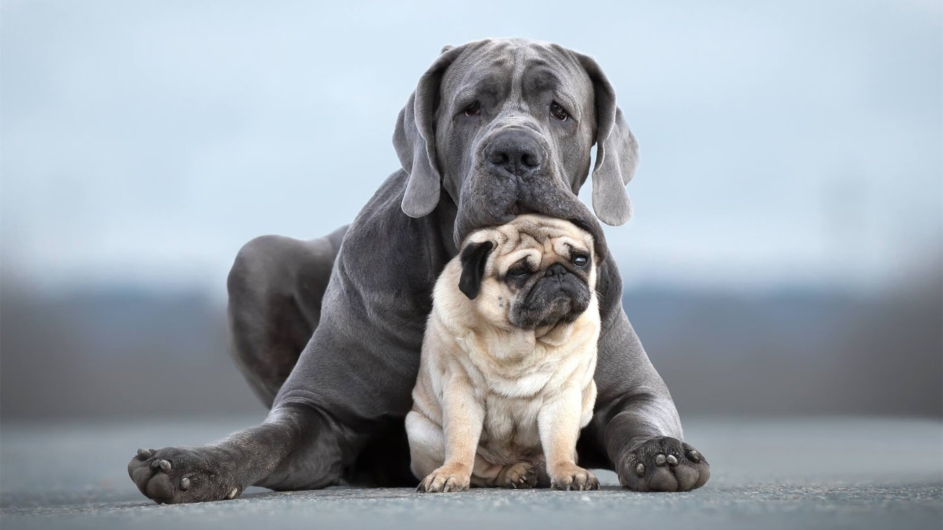 开云官网-球网与王座，当玻利维亚在抢七硝烟中收割西班牙