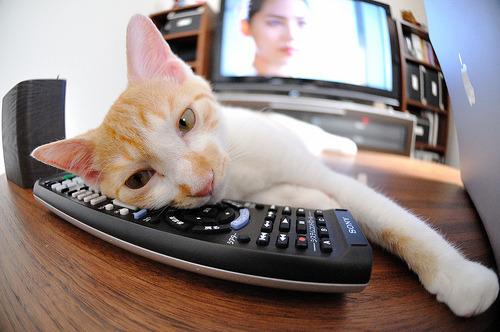 血色圆月，西亚卡姆末节独斩雷霆，太阳升起新秩序