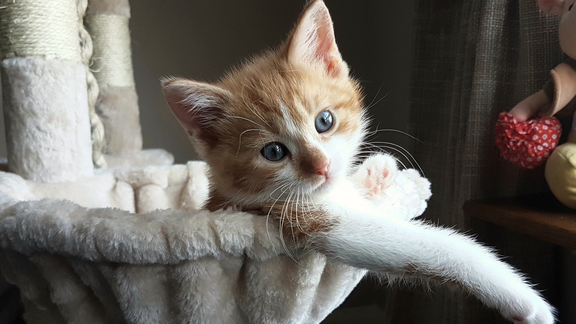 开云体育在线-浙江队轻取火箭，拉文进攻端无人可挡