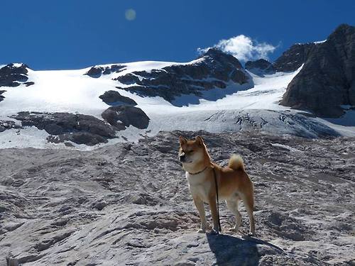 开云APP-草长莺飞处，自有王者来