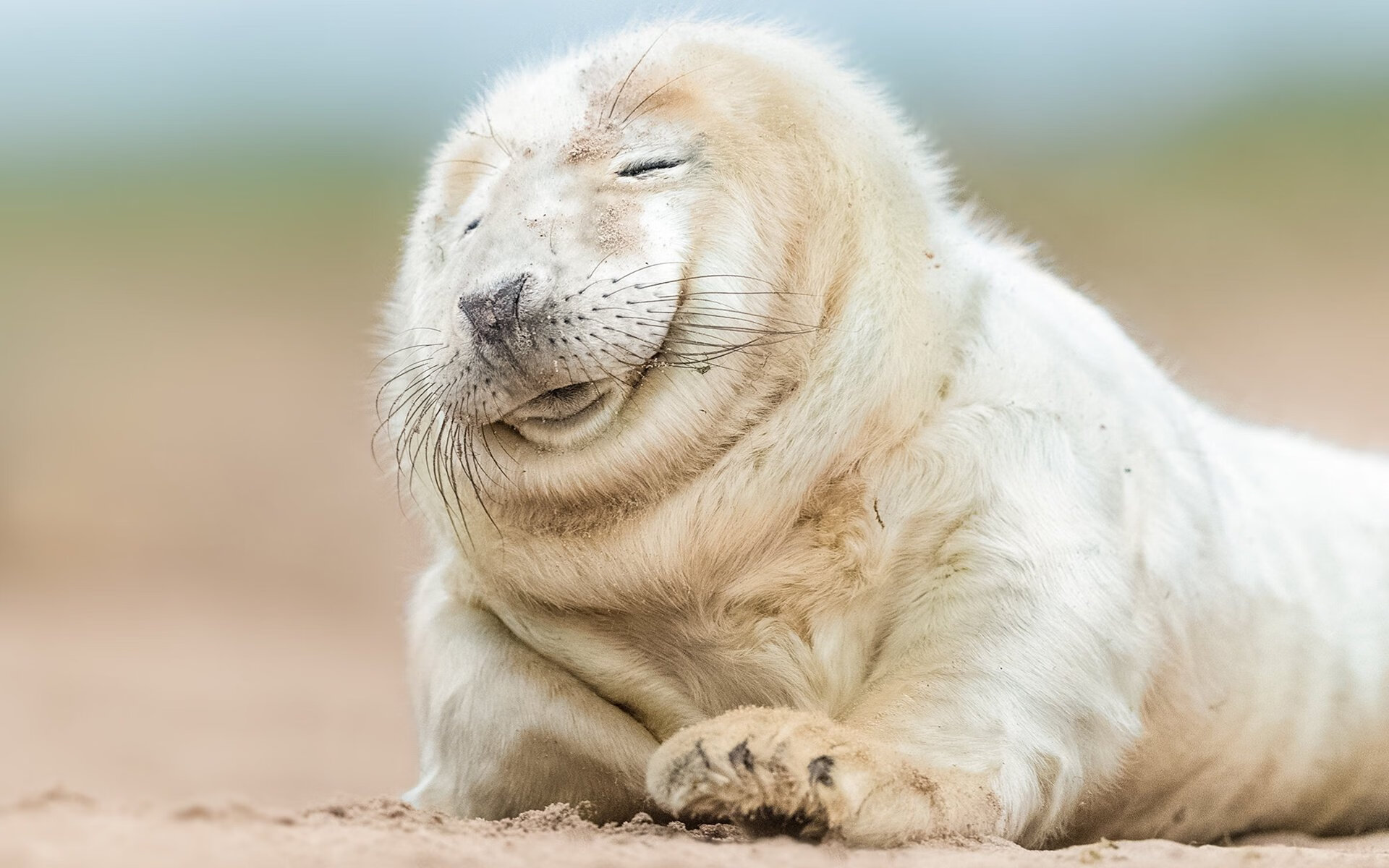 足球之夜,姆巴佩上演帽子戏法,多特蒙德轻取奥地利劲旅