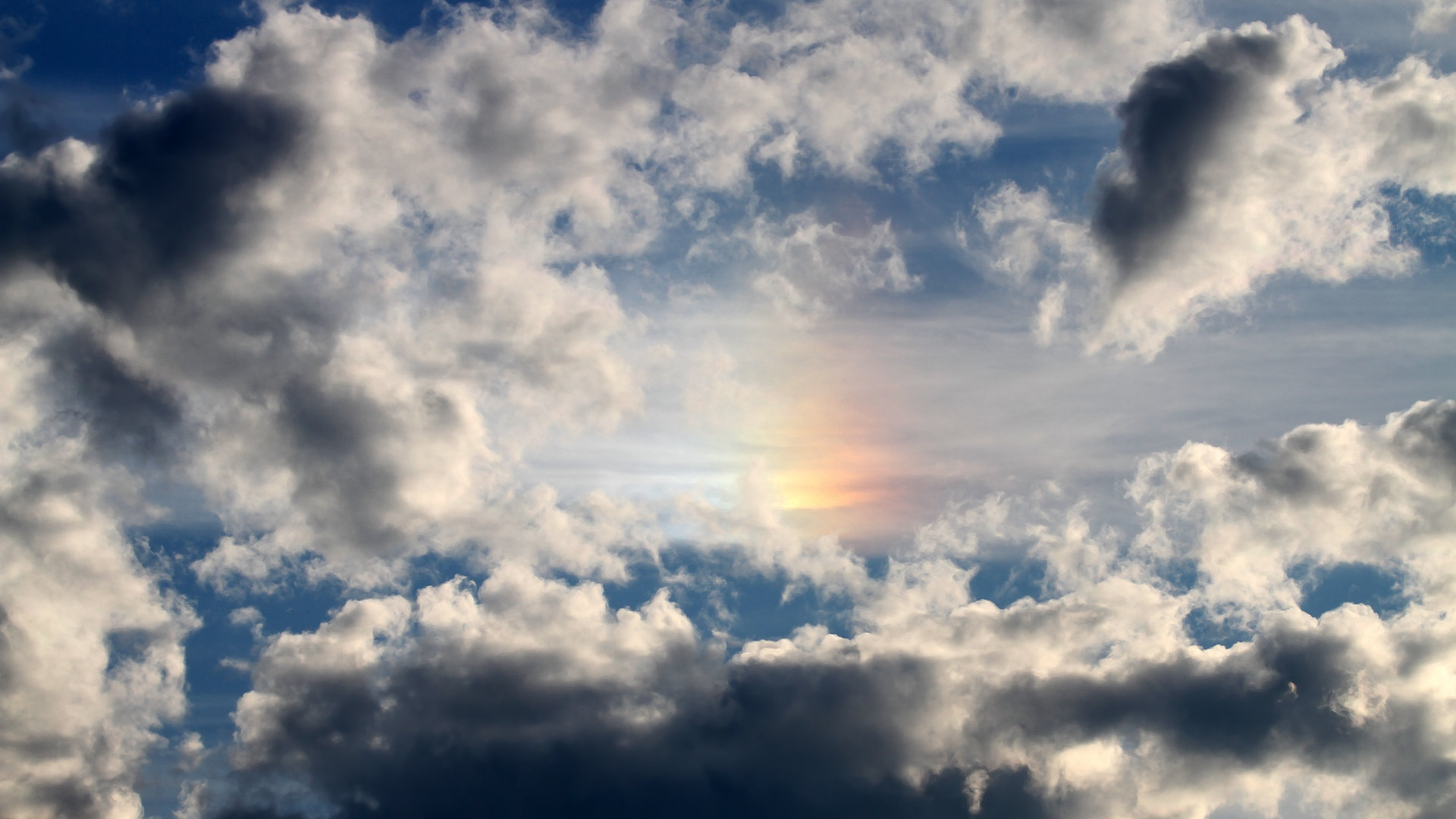 开云体育官方网站-F1年度争冠焦点战，阿尔及利亚鏖战中国