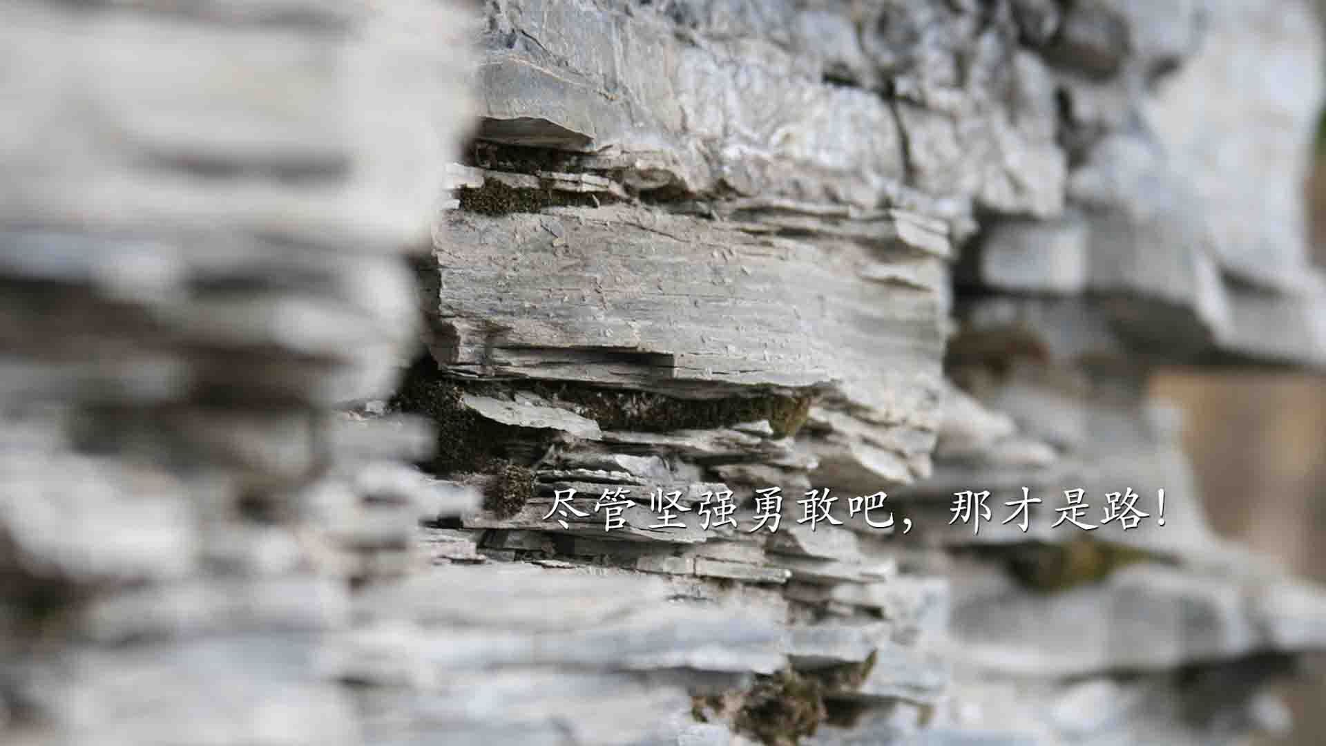 凯恩利刃穿不透墨西哥铁壁，蓝军险胜背后的足球哲学裂变