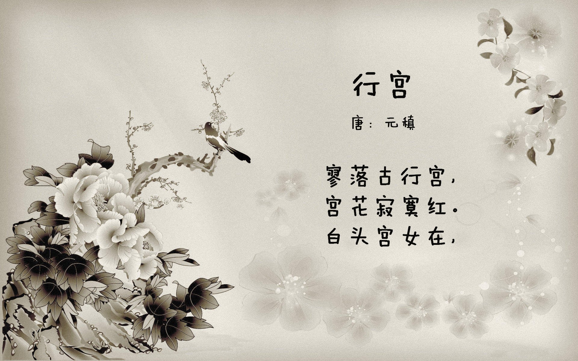 开云平台-篮球上帝密码，文班亚马撕裂黑夜