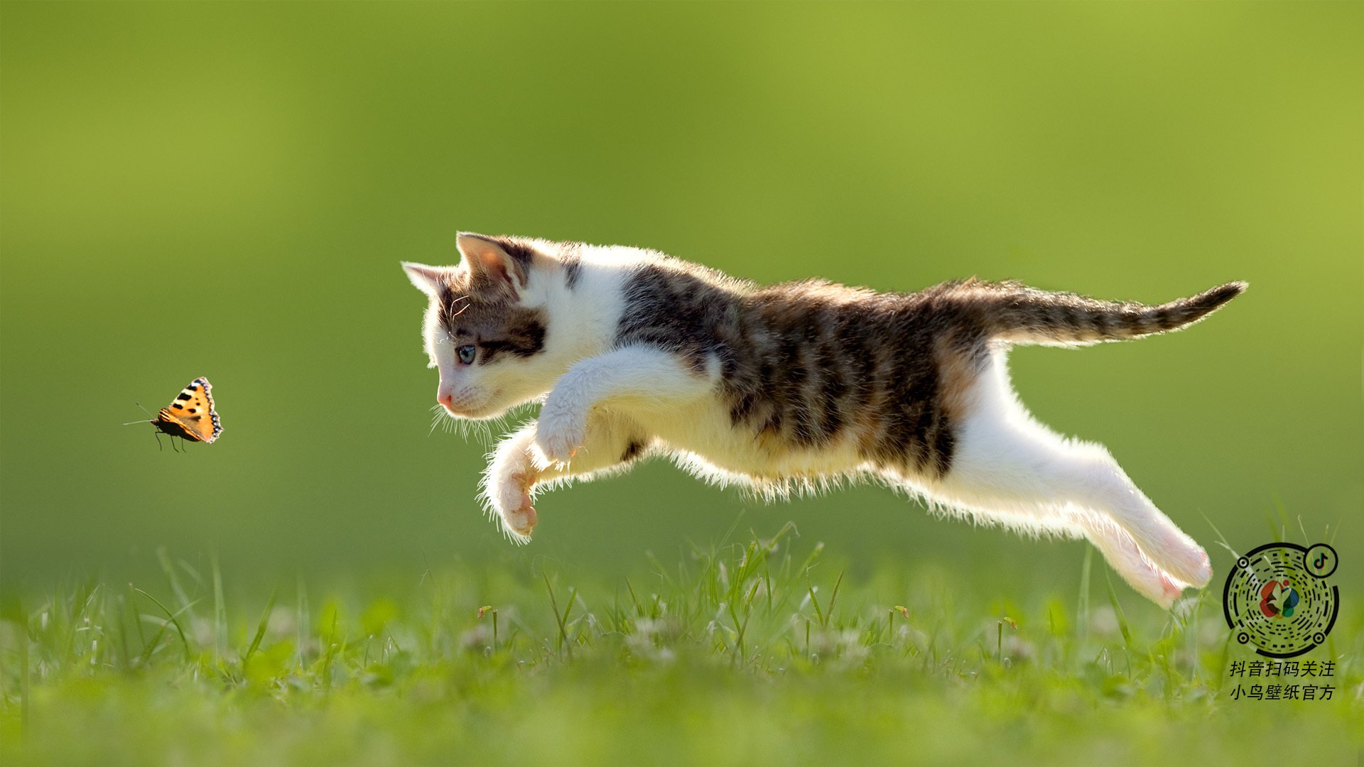 卡马文加末节接管比赛，墨西哥压哨绝杀埃及