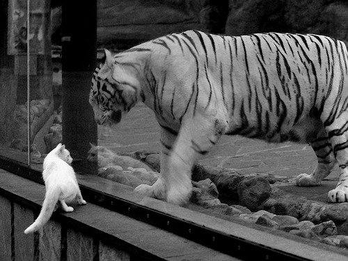 开云体育官方网站-节奏的艺术与英雄的觉醒，挪威掌控土耳其，佩德里抢七接管比赛
