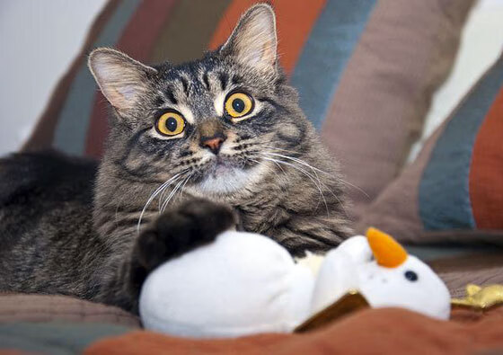 开云体育-双线争锋，曼联鏖战土耳其风雪，孙兴慜关键战再显杀手本色