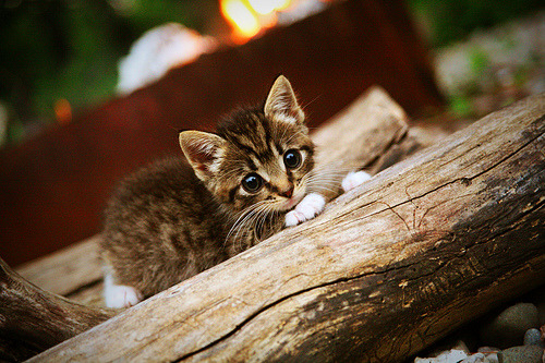 三分钟风暴撕裂僵局，末节之王卡塞米罗一剑封喉