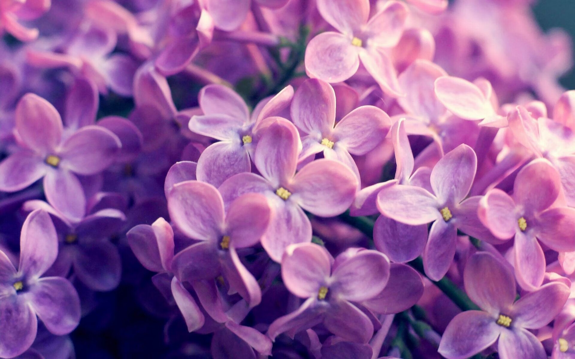 德甲争冠战之夜，凯塞多一手掌控比赛走势