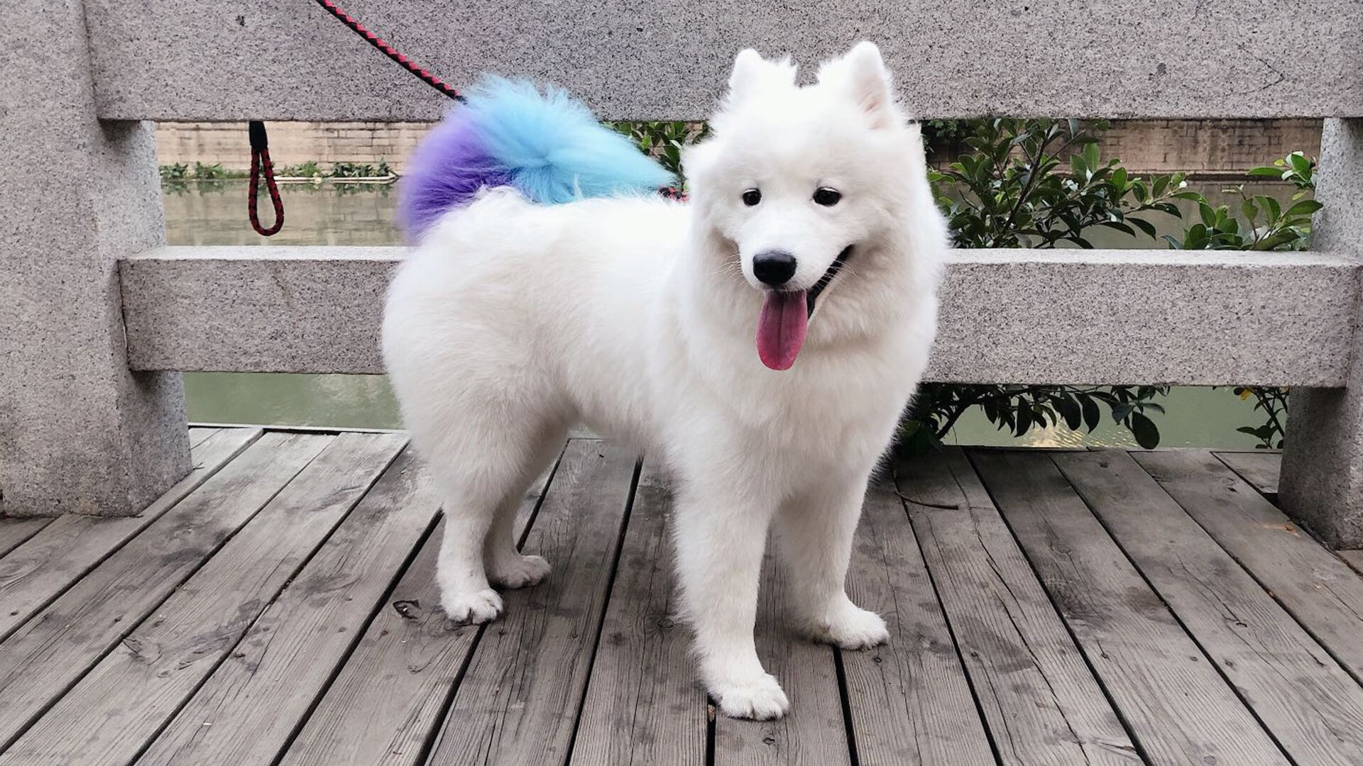 世界排名争夺战焦点战，辽宁队横扫尼克斯，中国篮球震撼世界