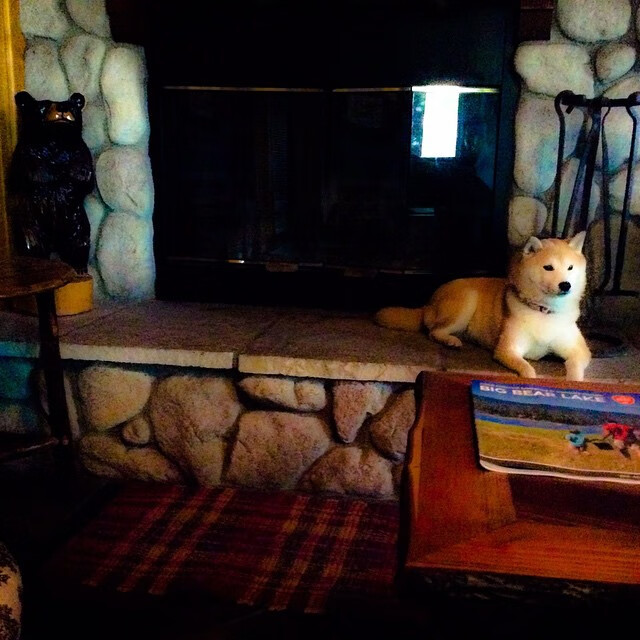 雨夜圣塞巴斯蒂安，戈麦斯加时双响铸就逆转史诗