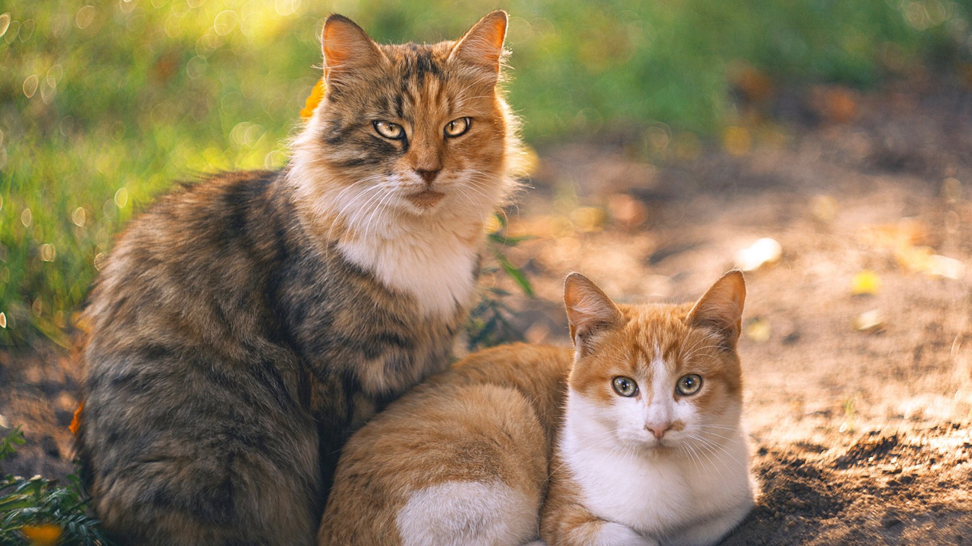 节奏掌控致胜,雷恩力克摩洛哥,格列兹曼化身关键先生